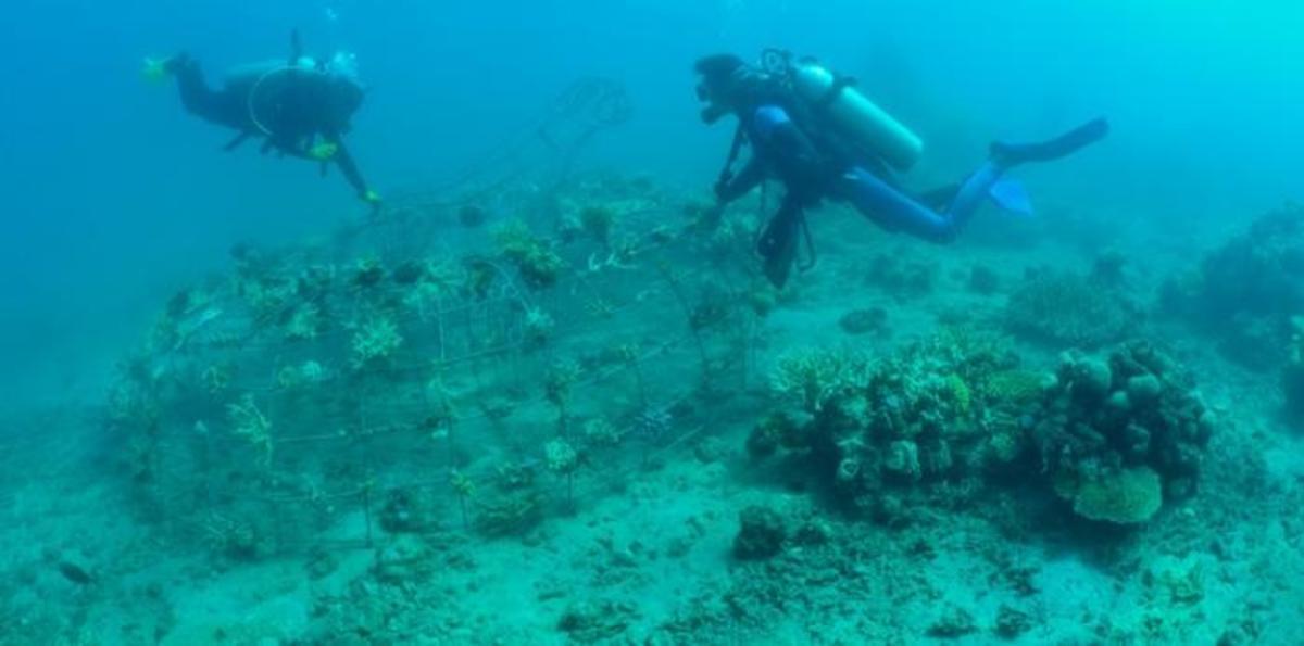 TRMJ21_Goreau_Credit Matthew Oldfield.jpeg (Full)